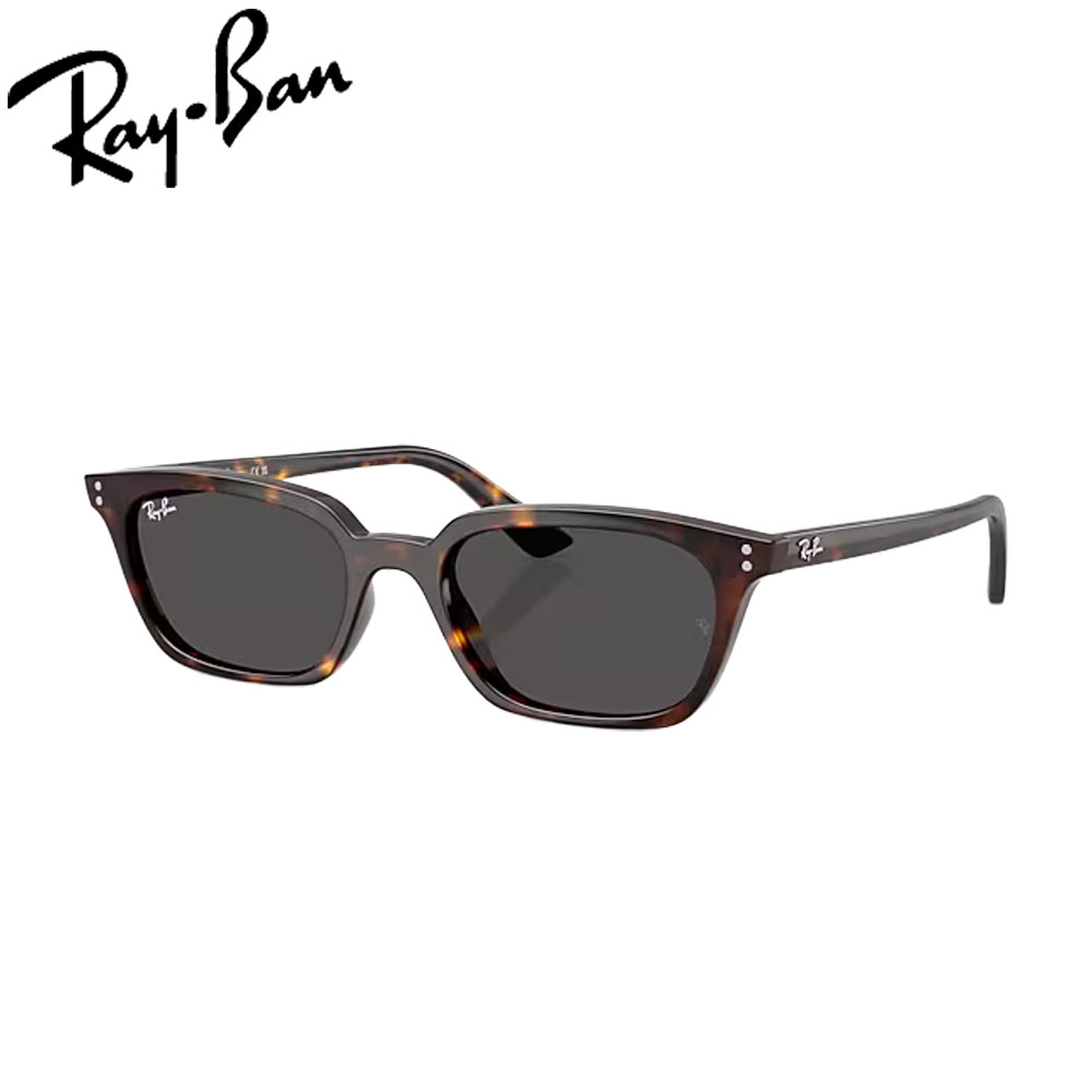 レイバン サングラス RayBan RB4456F 135987 52 フレーム / HAVANA レンズ / POLYAMIDE STANDARD DARK GREY アジアンフィットモデル