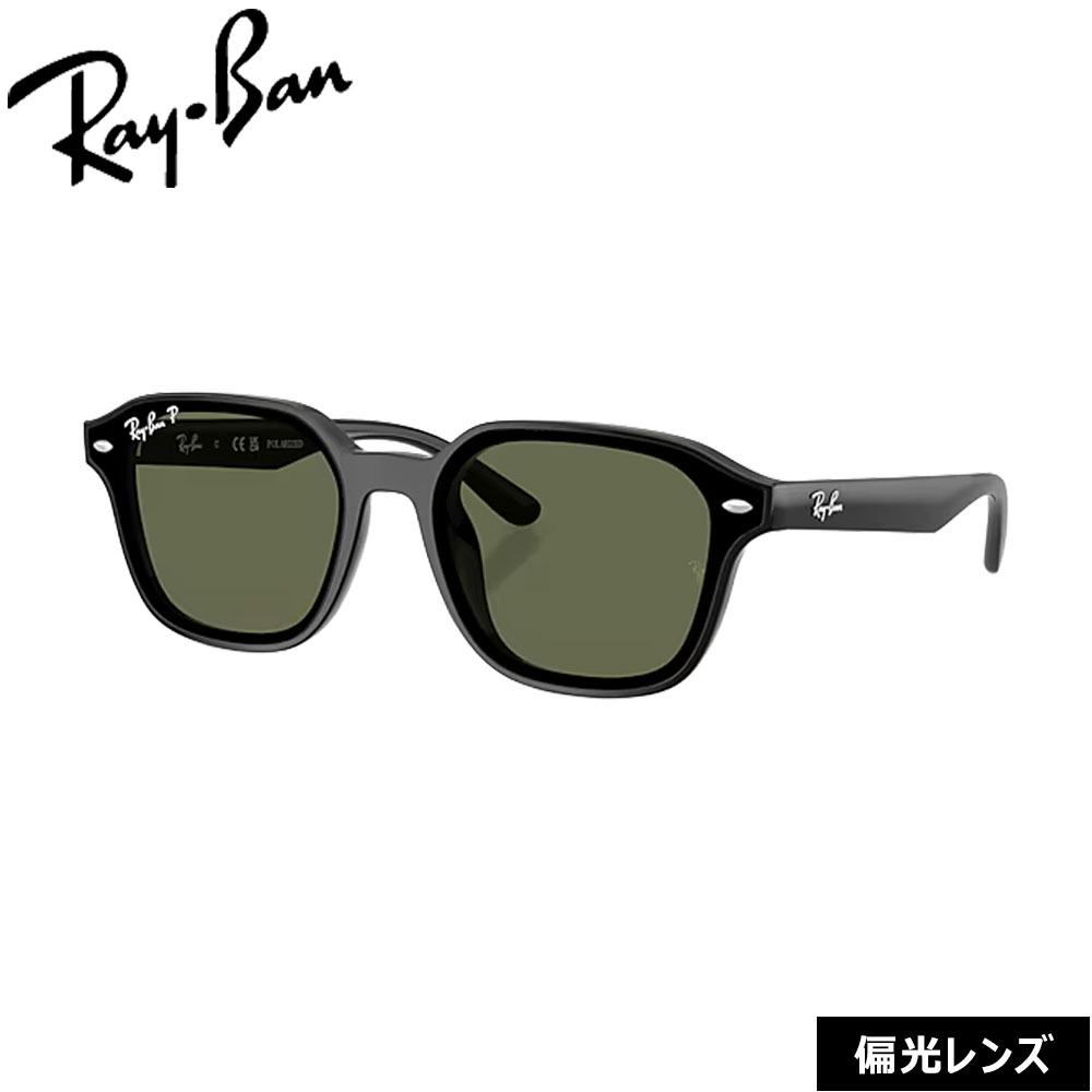 レイバン サングラス RayBan RB4458D 601/9A 65 偏光レンズ フレーム / BLACK レンズ / POLICARBONATE POLARIZED DARK GREEN POLAR 日本限定モデル(4.0)