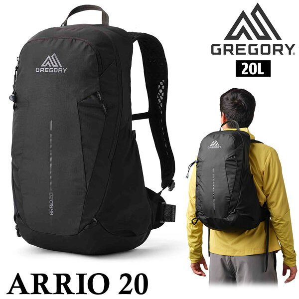 グレゴリー アリオ20 シャドウパインブラック GREGORY バックパック リュック デイ...