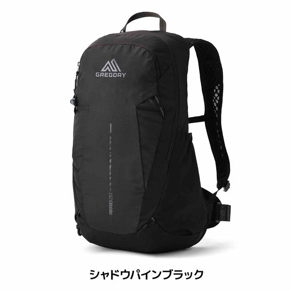 グレゴリー アリオ20 シャドウパインブラック GREGORY バックパック リュック デイ...