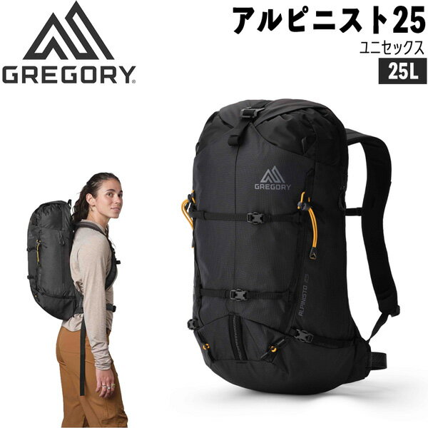 乐天商城 - グレゴリー アルピニスト25 サミットブラック GREGORY バックパック リュック
