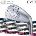 EMILLID BAHAMA CV10 IRON エミリッドバハマ アイアンセット Reve I.ELEVATION レーヴ アイ・エレベーション カーボンシャ...