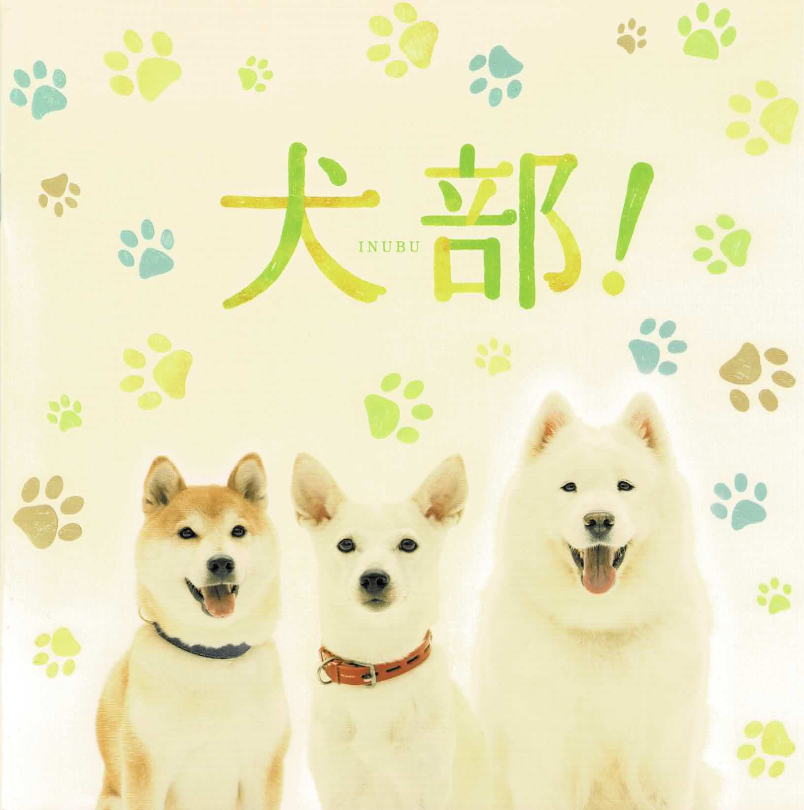 【映画パンフレット】 『犬部！』 出演:林遣都.中川大志.大原櫻子