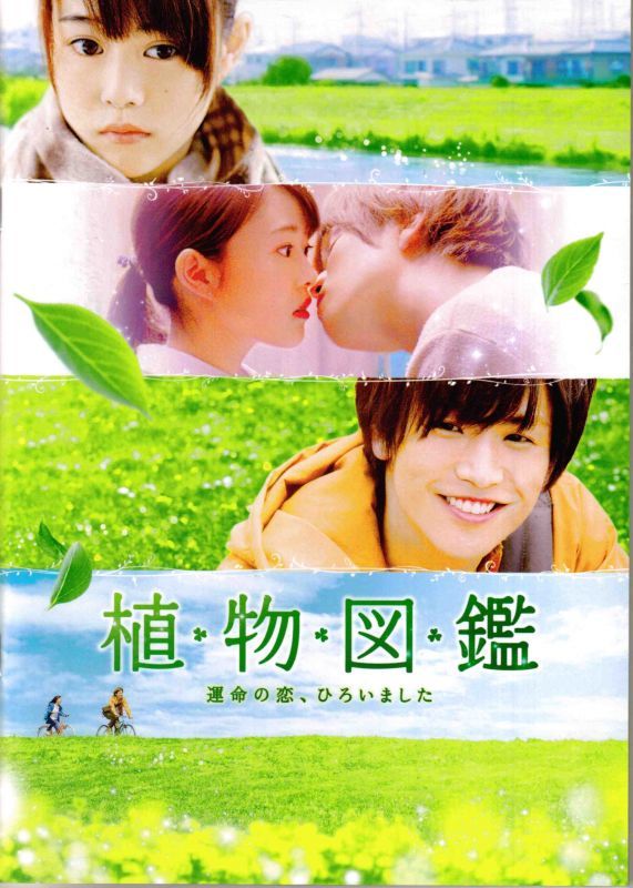 【映画パンフレット】 『植物図鑑 運命の恋、ひろいました』 出演:岩田剛典.高畑充希