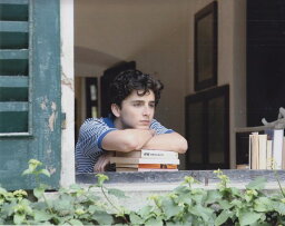 君の名前で僕を呼んで ティモシーシャラメ アーミーハマー Call Me By Your Name 映画　写真　輸入品　8x10インチサイズ　約20.3x25.4cm.