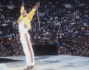 oh NC[ tfB}[L[ Queen Freddie Mercury f ʐ^ Ai 8x10C`TCY 20.3x25.4cm.