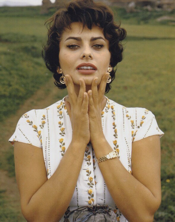 \tBA[ Sophia Loren f ʐ^ Ai 8x10C`TCY 20.3x25.4cm.