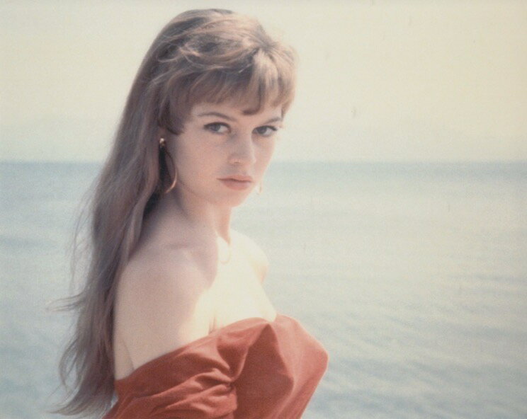 uWbhoh[ Brigitte Bardot f ʐ^ Ai 8x10C`TCY 20.3x25.4cm