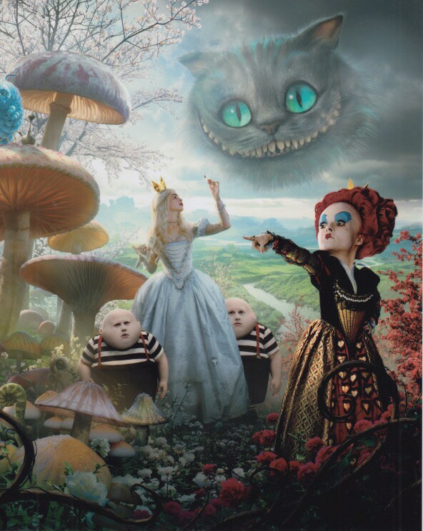 アリスインワンダーランド Alice in Wonderland アンハサウェイ Anne Hathaway 映画 写真 輸入品 8x10インチサイズ 約20.3x25.4cm