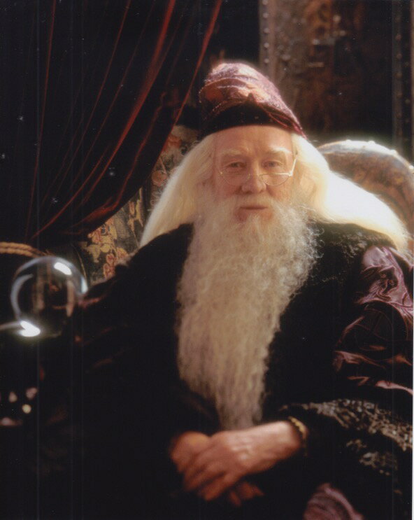 ハリーポッター リチャードハリス 映画 写真 輸入品 8x10インチサイズ 約20.3x25.4cm.