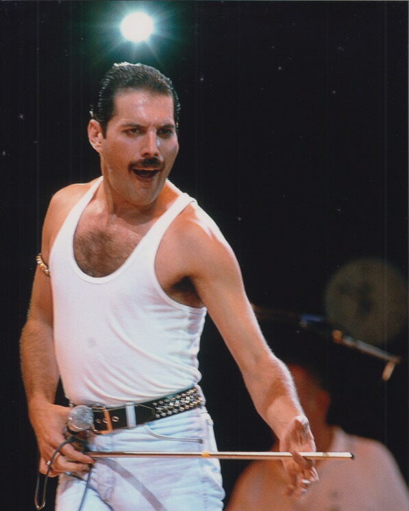 oh NC[ tfB}[L[ Queen Freddie Mercury f ʐ^ Ai 8x10C`TCY 20.3x25.4cm