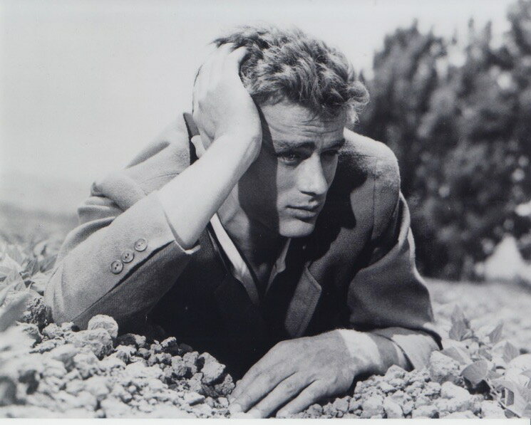 WF[YfB[ JAMES DEAN f ʐ^ Ai 8x10C`TCY 20.3x25.4cm.