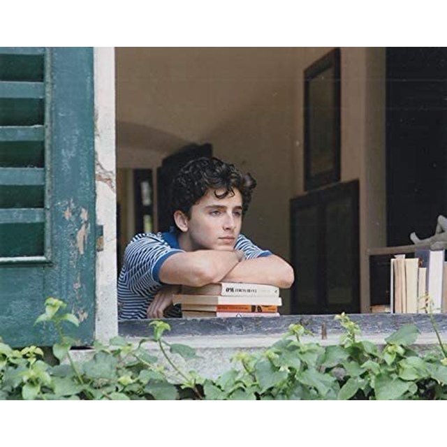 写真 (ポスター並みサイズ) 君の名前で僕を呼んで ティモシーシャラメ アーミーハマー Call Me By Your Name サイズ: 50.4 x 40.8 cm