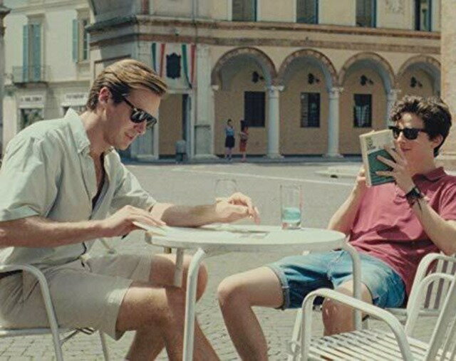 君の名前で僕を呼んで ティモシーシャラメ アーミーハマー Call Me By Your Name 映画 写真 輸入品 8x10インチサイズ 約20.3x25.4cm