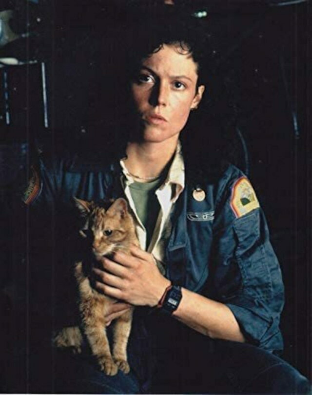 エイリアン シガニーウェバー Sigourney Weaver 映画 写真 輸入品 8x10インチサイズ 約20.3x25.4cm