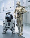 スターウォーズ C-3POR2-D2 Star Wars 映画　写真　輸入品　8x10インチサイズ　約20.3x25.4cm