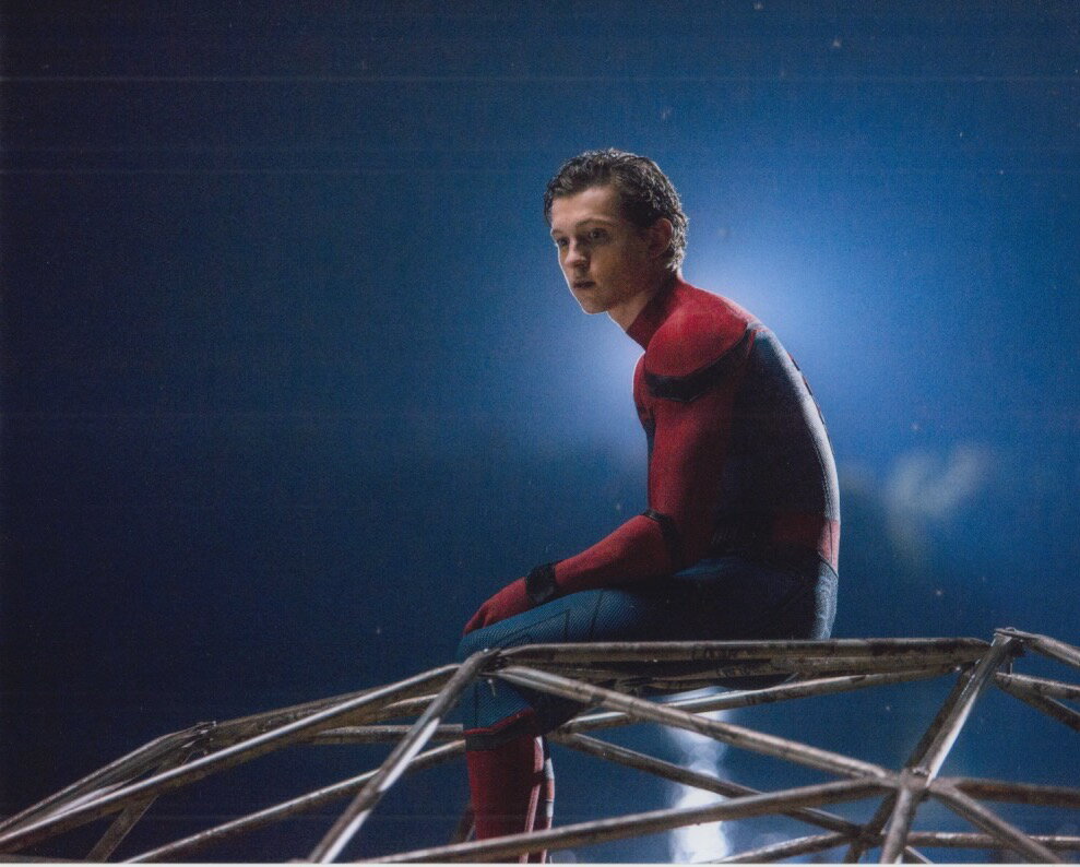 スパイダーマン Spider-Man トムホランド Tom Holland 映画 写真 輸入品 8x10インチサイズ 約20.3x25.4cm
