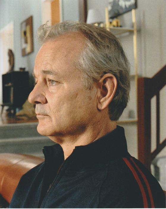 u[Nt[Y r}[C Broken Flowers Bill Murray f ʐ^ Ai 8x10C`TCY 20.3x25.4cm