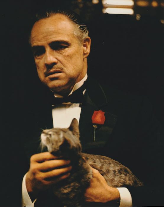 大型写真(約35.5x28cm) ゴッドファーザー マーロンブランド Godfather Marlon Brando 輸入品 写真