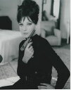 モニカヴィッティ Monica Vitti 映画 写真 輸入品 8x10インチサイズ 約20.3x25.4cm