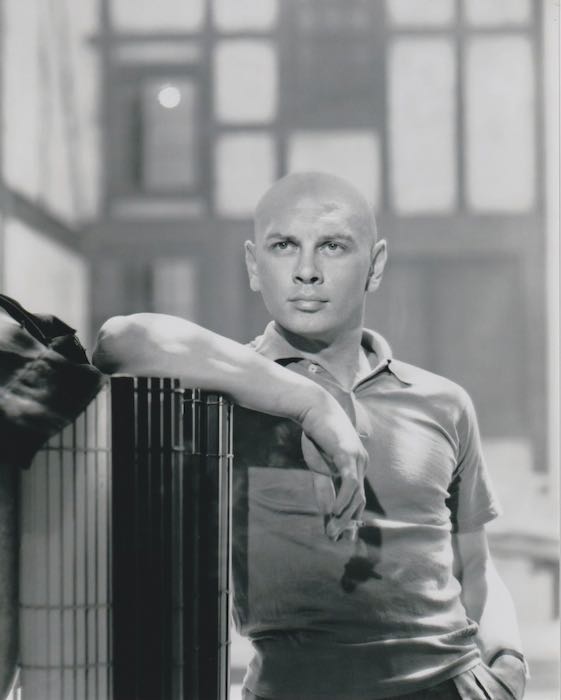 lƎ ui[ Yul Brynner ʐ^ Ai 20.3x25.4cm@11752.