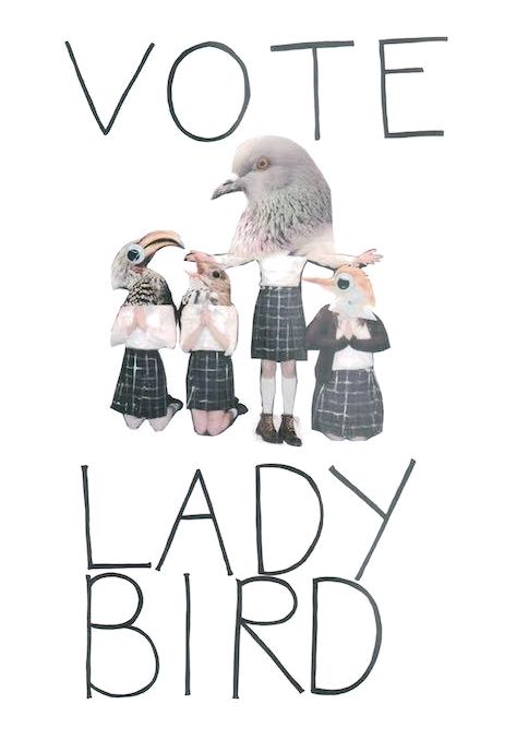 (ほぼA4サイズ) ミニポスター写真 米国版 レディバード Lady Bird シアーシャローナン 輸入品 8x12インチサイズ 約20.3x30.5cm.