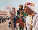 アラビアのロレンス ピーターオトォール アンソニークイン Lawrence of Arabia Peter O'Toole 映画 写真 輸入品 8x10インチサイズ 約20.3x25.4cm