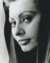 ソフィアローレン Sophia Loren 映画 写真 輸入品 8x10インチサイズ 約20.3x25.4cm.
