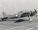 写真 零戦 1943年撮影 アメリカによる鹵獲 (実際の写真) 約20.3x25.4cm 輸入 写真 r036