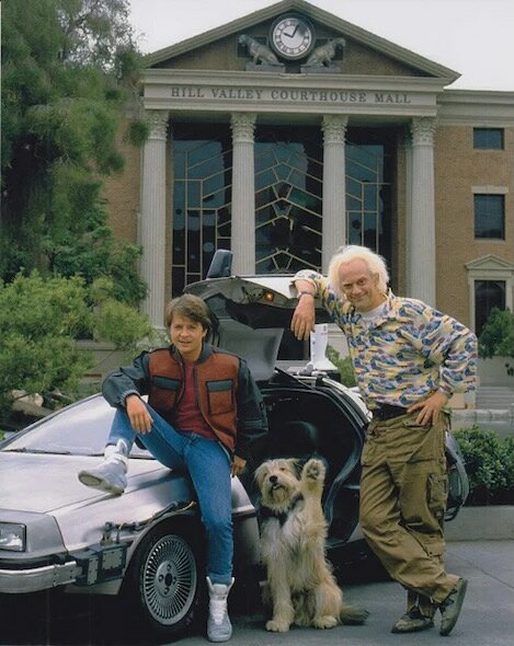 大型写真(約35.5x28cm) バックトゥザフューチャー Back to The Future Michael J Fox 輸入品 写真.