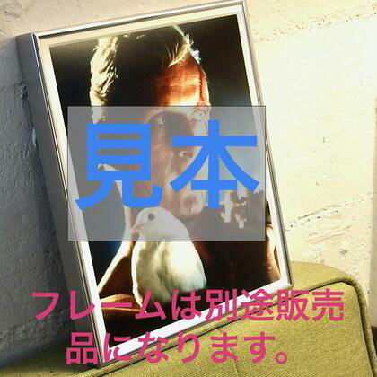 キーラナイトレイ Keira Knightley 映画 写真 輸入品 8x10インチサイズ 約20.3x25.4cm 3
