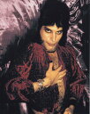 バンド クイーン フレディマーキュリー Queen Freddie Mercury 映画 写真 輸入品 8x10インチサイズ 約20.3x25.4cm