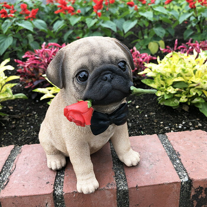 乐天商城 - パグオブジェ【ジェントル】オーナメント　リアル　かわいい　pug フレブル　犬　オーナメント　インテリア　エクステリア　家　庭　室内　飾り　職人　ハンドメイド　アメリカン雑貨　ディスプレイ