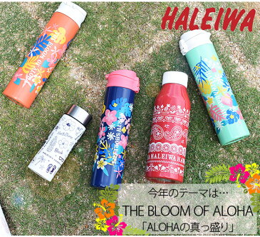 ドウシシャ HALEIWA ハレイワ ワンタッチマグボトル600ml 水筒 保冷 保温 直飲み moyakko