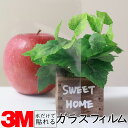 送料無料3M ガラス用フィルム窓 ガラス 台風 地震 災害 エコ 強風 シート フィルム 透明 目隠し ミラー すりガラス 熱中症 防寒 暑さ 寒さ