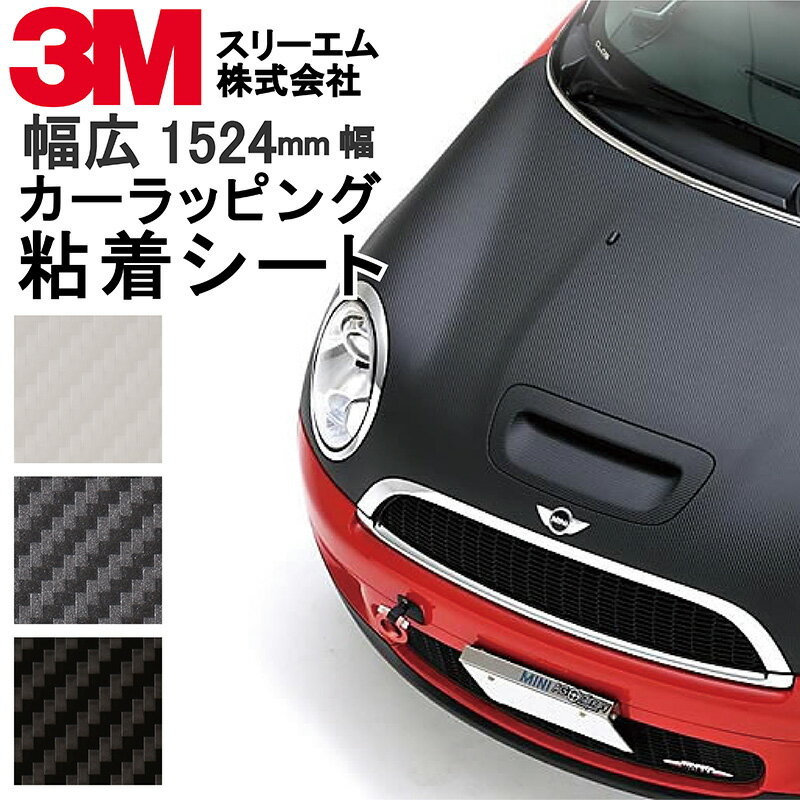 3m_rapfilm_01.jpg 3m_rapfilm_01.jpg