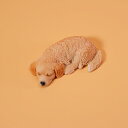 JXK Studio イヌフィギュア 犬好き ペット 動物好き 超リアル 精緻な手造り 萌えグッズ アクセサリ プラモデル 模型 彫刻 インテリア ギフト プレゼント オブジェ 置物(3)