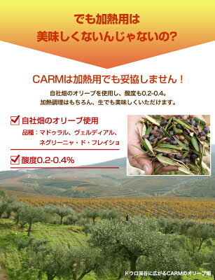 CARM業務用EXVオリーブオイル・クラシコ