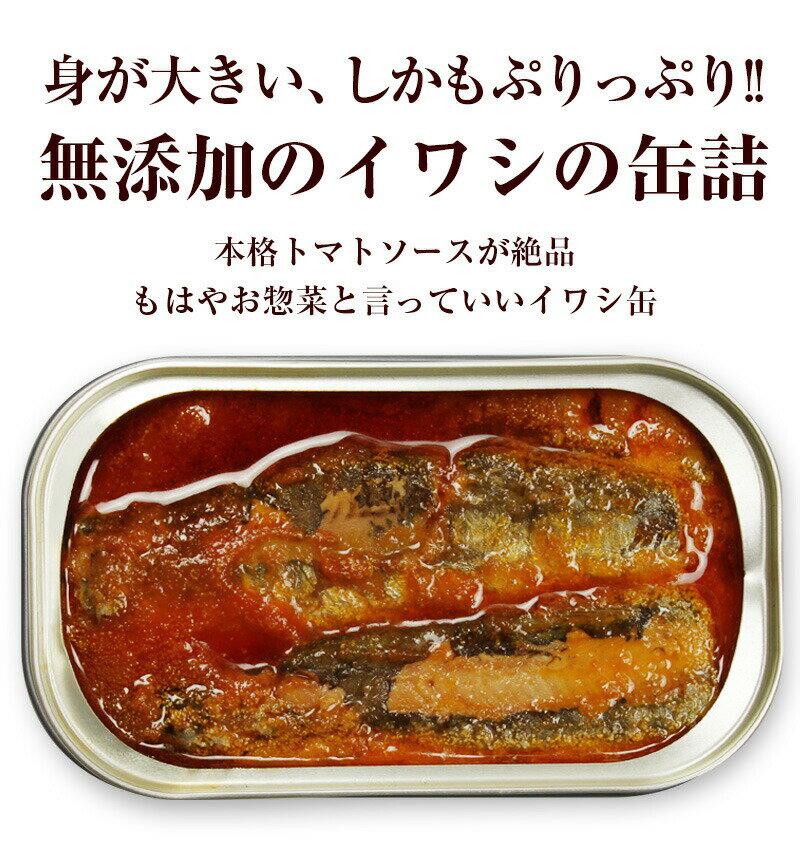 大きなイワシのトマトソース煮125g 直輸入 ポルトガル産 3