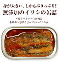 送料無料 大きなイワシのトマトソース煮125g≪20個セット≫ 直輸入 ポルトガル産 3