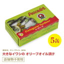 大きなイワシのオリーブオイル漬け125g≪5個セット≫ 直輸入 ポルトガル産