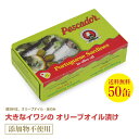 【送料無料】大きなイワシのオリーブオイル漬け125g≪50個セット≫【あす楽対応】