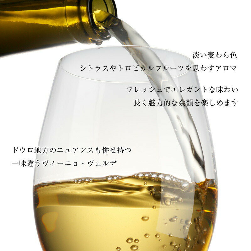 カーザ・ド・ヴァーレ・ブランコ[2019] 750ml ヴィーニョ・ヴェルデ地方 辛口 微発泡 白ワイン ポルトガルワイン