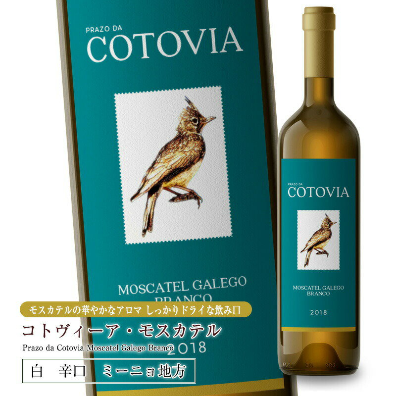cotovia_sp_01.jpg
