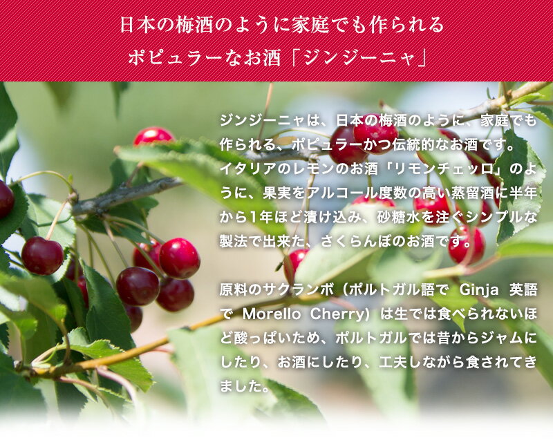 ���󥸡��˥�ʤ������ܤΥꥭ�塼���500ml �Ÿ� ������ ����� �����ƥ� ���ӥɥ����� �����˿͵� �ݥ�ȥ��뻺