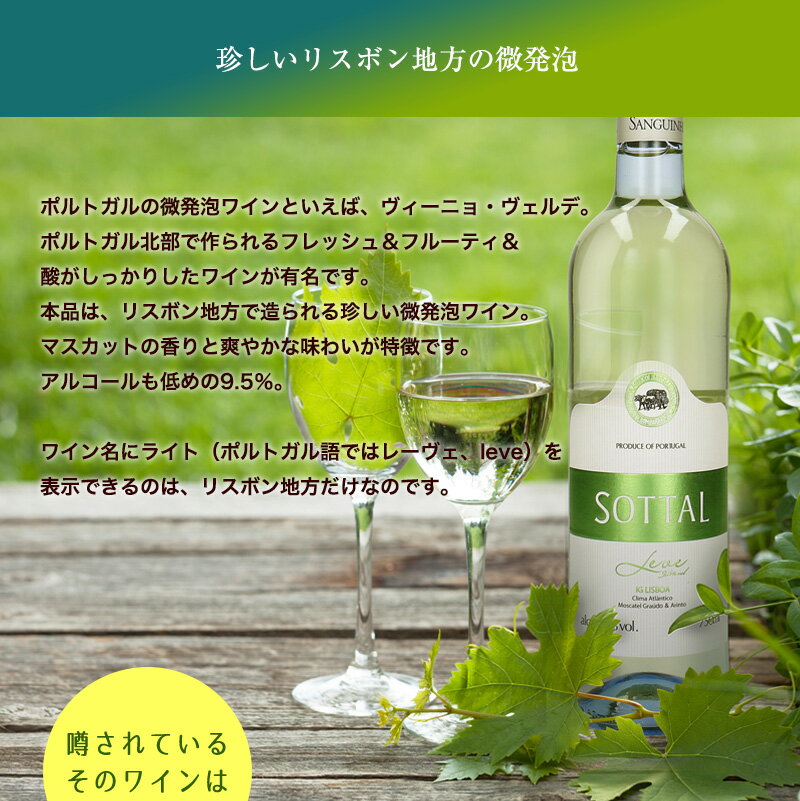 ソッタル・ライト[2024] 750ml 白ワイン 微発泡 ライトワイン 低アルコール スクリ...