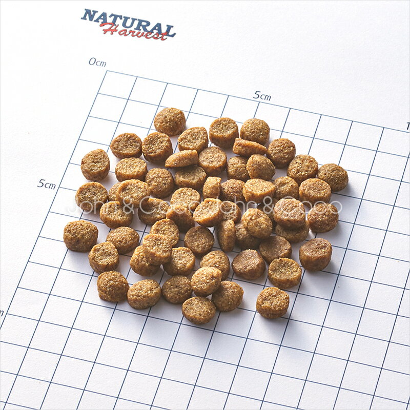 ナチュラルハーベスト フラックス 50g 犬 ...の紹介画像2