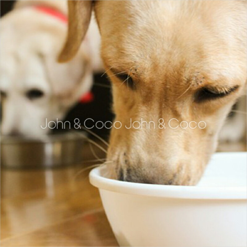 �ʥ�����ϡ��٥��� �ե�å��� 50g �� �ɥå��ա��� �ɥ饤�ա��� ��ˡ�� ���Х��� ������ܿ� ���� ���˥��� �֥ѥå�������˥塼�����