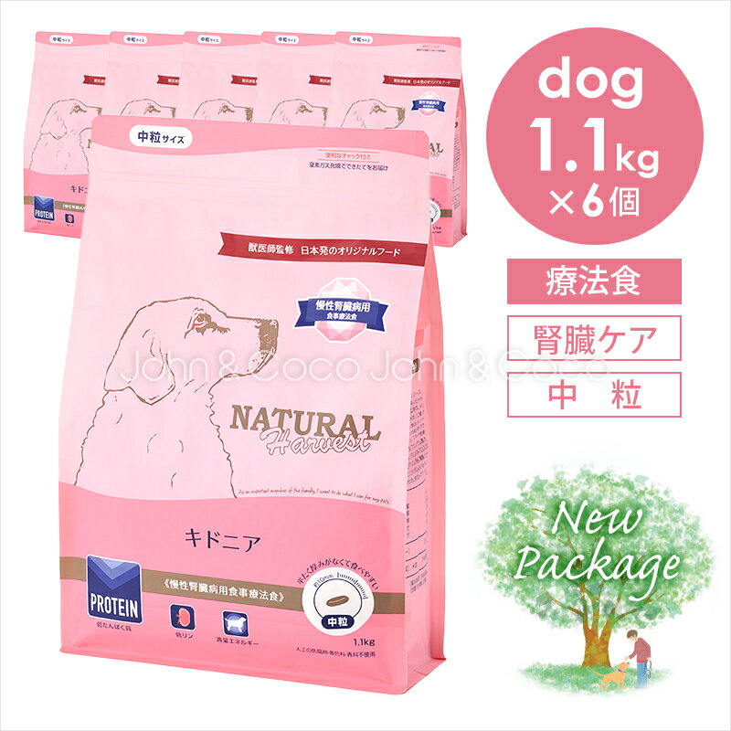 ʥϡ٥ ɥ˥ 1.1kg6 ¡ ˡ  ɥåա