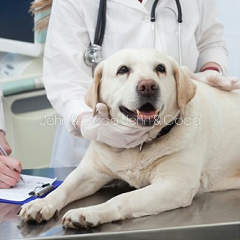 �ʥ�����ϡ��٥��� ���ɥ˥� 50g ��¡���� ��ˡ�� �� �ɥå��ա���